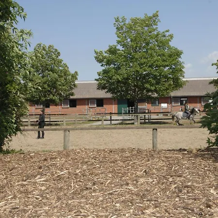Lägenhet Ferienwohnung Auf Einem Reiterhof