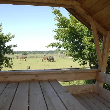 Ferienwohnung Auf Einem Reiterhof *